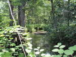 Multiple Culvert Crossing at Starks Rd, New Sharon, Maine