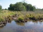 Multiple Culvert Crossing at Stetson Road, Levant, Maine