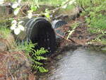 Multiple Culvert Crossing at Stream Road, Vienna, Maine
