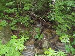Multiple Culvert Crossing at Tote Rd, T3 R10 WELS, Maine