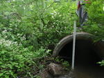 Multiple Culvert Crossing at Town Path Rd, Gorham, Maine