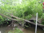 Multiple Culvert Crossing at Town Path Rd, Gorham, Maine