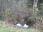 Multiple Culvert Crossing at Trafton Rd, Waterville, Maine