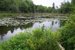 Multiple Culvert Crossing at Tyler Lane, Frankfort, Maine