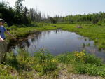 Multiple Culvert Crossing at Unknown, T4 R7 WELS, Maine