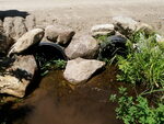 Multiple Culvert Crossing at Unknown, Waterboro, Maine