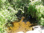 Multiple Culvert Crossing at Unknown, Waterboro, Maine