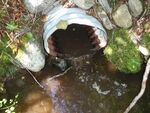 Multiple Culvert Crossing at Unnamed, Shawtown Twp, Maine