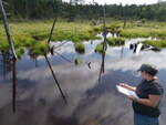 Multiple Culvert Crossing at Unnamed, Shawtown Twp, Maine