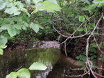 Multiple Culvert Crossing at Upper Notch Rd, Garland, Maine