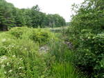 Multiple Culvert Crossing at Upper Round Pond Rd, Bristol, Maine