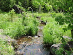 Multiple Culvert Crossing at Upper Valley Rd, Bowdoin College Grant West Twp, Maine
