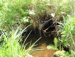 Multiple Culvert Crossing at Upper Valley Rd, Bowdoin College Grant West Twp, Maine