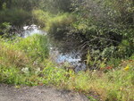 Multiple Culvert Crossing at Ward Hill Rd, Troy, Maine