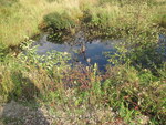 Multiple Culvert Crossing at Ward Hill Rd, Troy, Maine