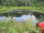 Multiple Culvert Crossing at West Old County Rd, Newcastle, Maine