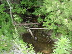 Multiple Culvert Crossing at Wharff Rd, Guilford, Maine