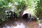 Multiple Culvert Crossing at White Schoolhouse Road, Corinth, Maine