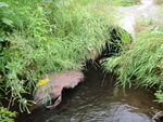 Multiple Culvert Crossing at Whiting Rd, Garland, Maine