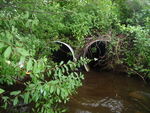Multiple Culvert Crossing at Winn Rd, Falmouth, Maine