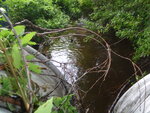 Multiple Culvert Crossing at Winn Rd, Falmouth, Maine