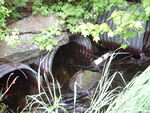 Multiple Culvert Crossing at Woodchuck Hill Road, Clifton, Maine
