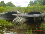 Multiple Culvert Crossing, Abagadasset River at Main St, Richmond, Maine