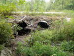 Multiple Culvert Crossing, Ai Brook at Route 85, Raymond, Maine