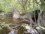 Multiple Culvert Crossing, Alder Brook at Moulton Rd, Embden, Maine