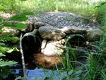 Multiple Culvert Crossing, Alder Brook at Northport Rd, Belmont, Maine