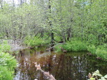 Multiple Culvert Crossing, Alder Brook at Spencer Rd, Brownville, Maine