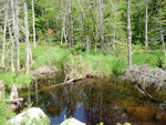 Multiple Culvert Crossing, Alder Brook at Spencer Rd, Brownville, Maine
