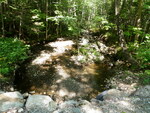 Multiple Culvert Crossing, Alder Stream at Curtis Brook Rd, Kingfield, Maine