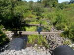 Multiple Culvert Crossing, Alewife Brook at Old Ocean House Rd, Cape Elizabeth, Maine