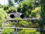 Multiple Culvert Crossing, Alewife Brook at Old Ocean House Rd, Cape Elizabeth, Maine