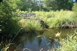 Multiple Culvert Crossing, Alford Brook at Route 235, Warren, Maine