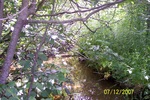Multiple Culvert Crossing, Alger Pond Stream at Boston Road, Winterport, Maine