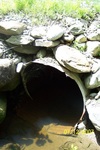 Multiple Culvert Crossing, Alger Pond Stream at Boston Road, Winterport, Maine