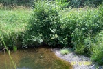 Multiple Culvert Crossing, Alger Pond Stream at Rancourt Road, Winterport, Maine