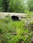 Multiple Culvert Crossing, Bachelder Brook at Kimball Corner Rd, Sebago, Maine