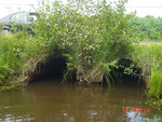 Multiple Culvert Crossing, Back River Creek at Middle Rd, Woolwich, Maine