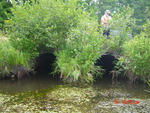 Multiple Culvert Crossing, Back River Creek at Middle Rd, Woolwich, Maine