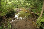 Multiple Culvert Crossing, Bartlett Stream at Bean Rd, Montville, Maine