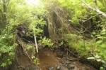 Multiple Culvert Crossing, Bartlett Stream at Bean Rd, Montville, Maine