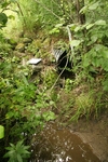 Multiple Culvert Crossing, Bartlett Stream at Game Reserve, Montville, Maine