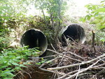 Multiple Culvert Crossing, Bear Brook at Last Round Up Rd, Lexington Twp, Maine