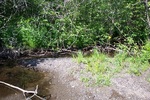 Multiple Culvert Crossing, Bear Brook at Tate Road, Corinth, Maine