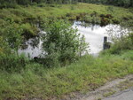 Multiple Culvert Crossing, Beartrap Brook at Basford Rd, Burnham, Maine