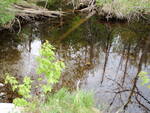 Multiple Culvert Crossing, Beaver Brook at Aroostook Road, Molunkus Twp, Maine