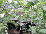 Multiple Culvert Crossing, Beaver Brook at True Rd, Clinton, Maine